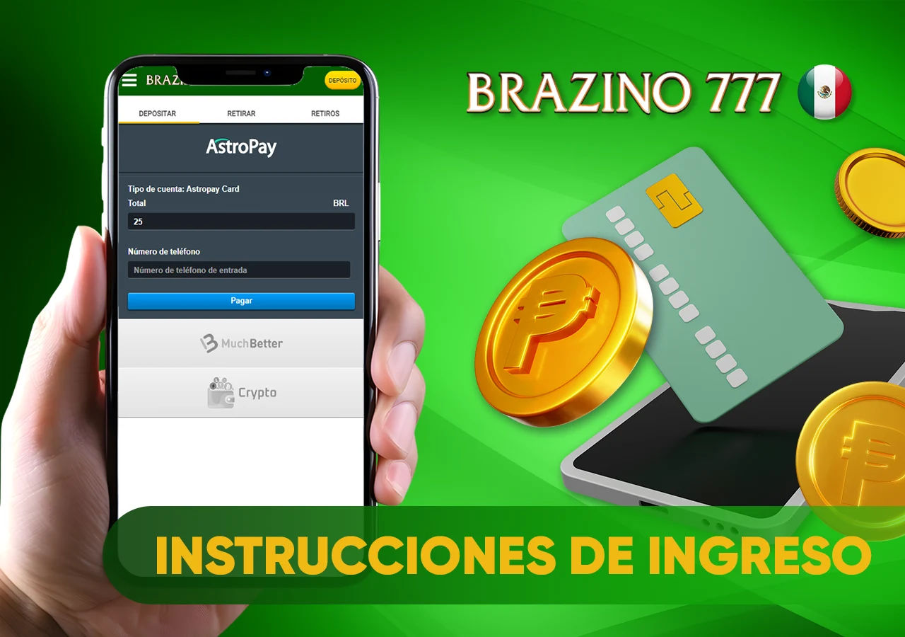 Instrucciones paso a paso para realizar un ingreso